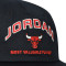 Cappello Jordan Pro Cap Unstructured Flat Bird