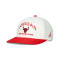 Cappello Jordan Pro Unstructured Chicago Bulls Flat Bill 5Pnl