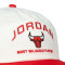 Cappello Jordan Pro Unstructured Chicago Bulls Flat Bill 5Pnl