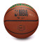 Pallone Wilson NBA Team Alliance Boston Celtics