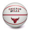Pallone Wilson NBA Team Pixel Chicago Bulls