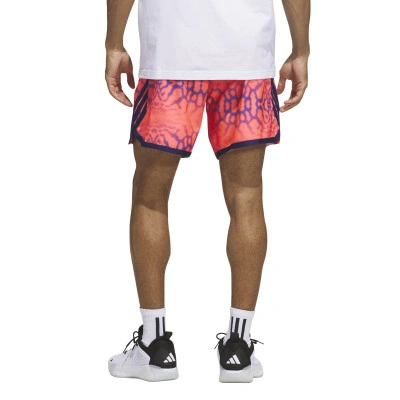 Pantaloncini Crazylite Graph