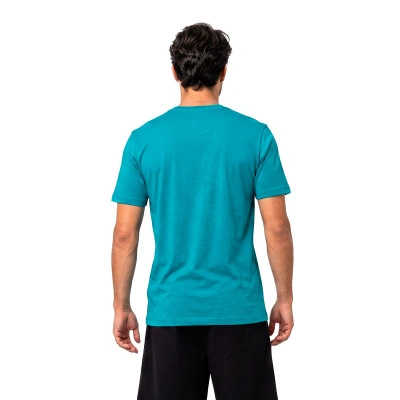 Maglietta Charlotte Hornets Logo