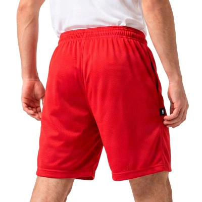 Pantaloncini Chicago Bulls Standard Issue Mesh 5"