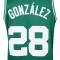 Maglia Nike Boston Celtics Swingman Icon Edition Hugo González