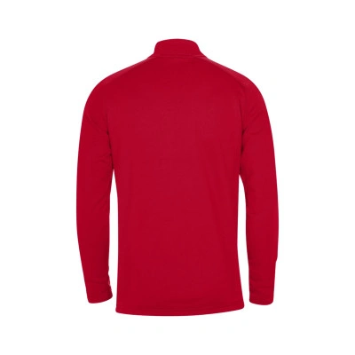 Felpa 1/4 Zip Midlayer 21