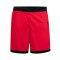Pantaloncini Nike Team 25
