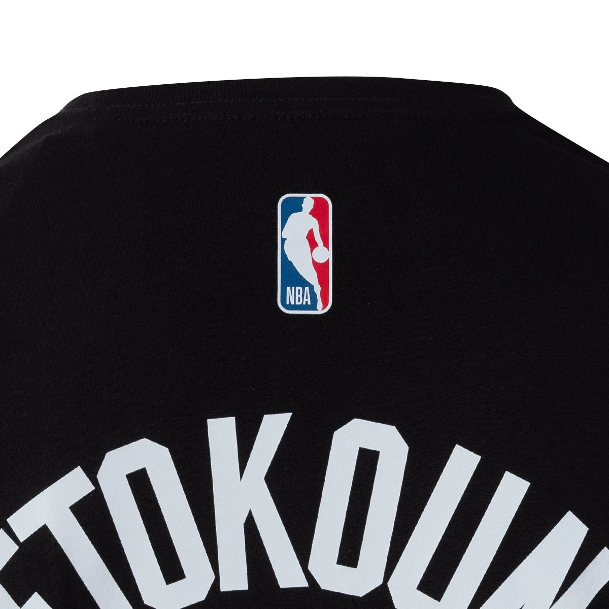 camiseta-nike-miami-heat-essential-icon-edition-giannis-antetokounmpo-nino-multicolor-6